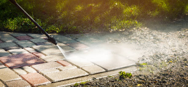 Best Dumpster Area Cleaning  in Clayton, DE